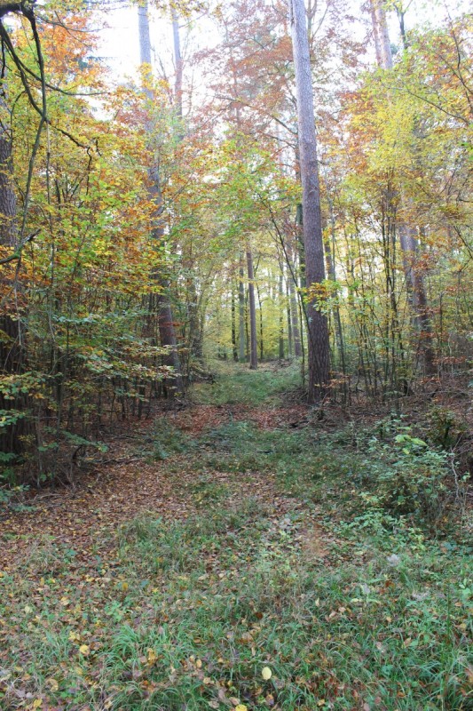 Bildla Nummera 047.jpg