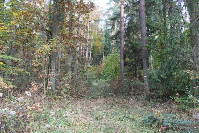 Bildla Nummera 048.jpg