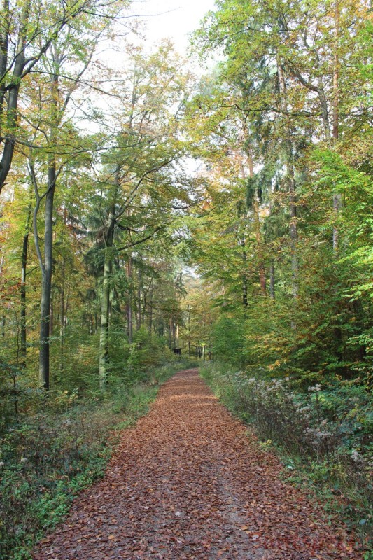 Bildla Nummera 049.jpg