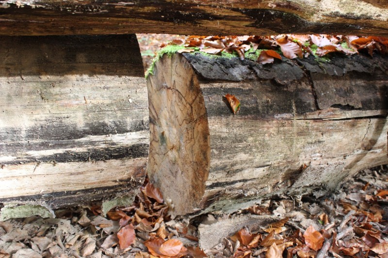 Bildla Nummera 054.jpg