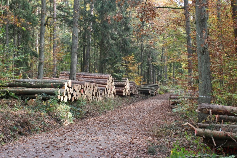 Bildla Nummera 058.jpg