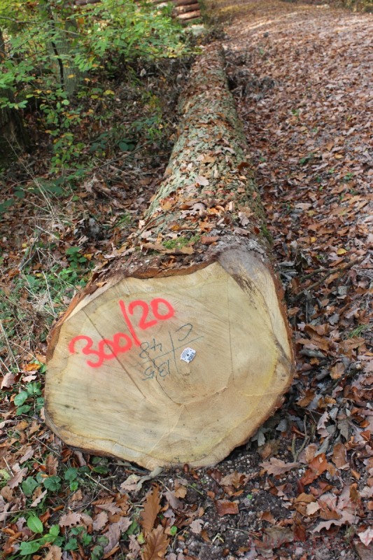 Bildla Nummera 059.jpg