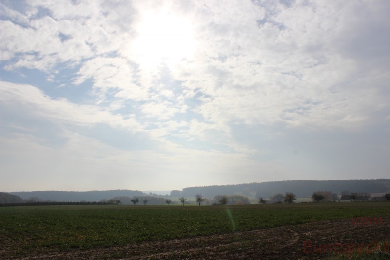 Bildla Nummera 062.jpg