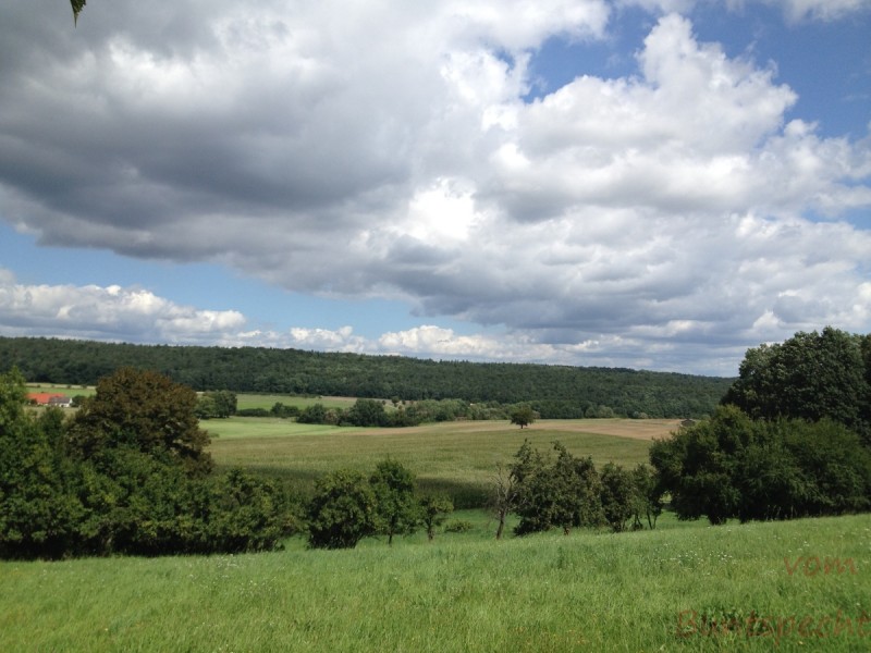 Bildla Nummera 003.jpg