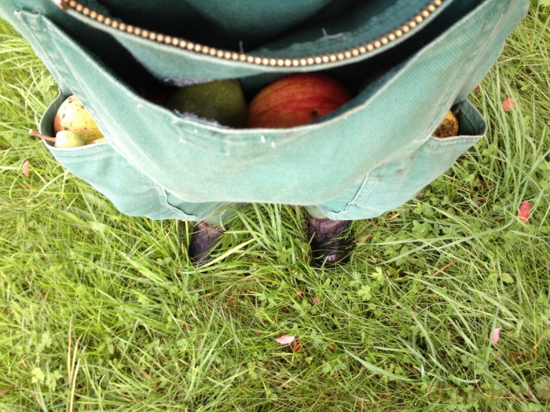 Bildla Nummera 004.jpg