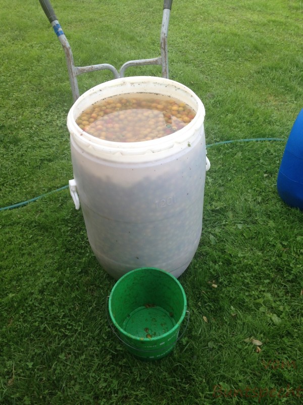 Bildla Nummera 007.jpg