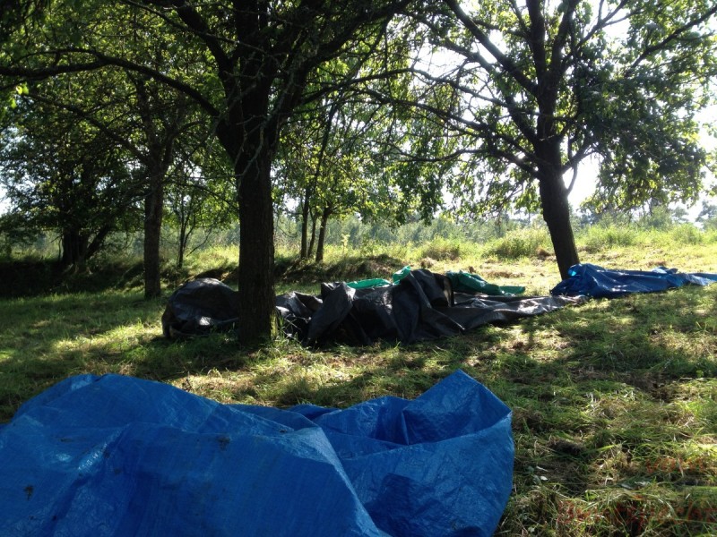 Bildla Nummera 014.jpg