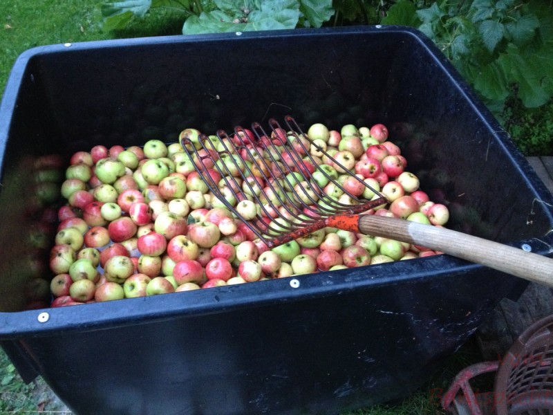 Bildla Nummera 017.jpg