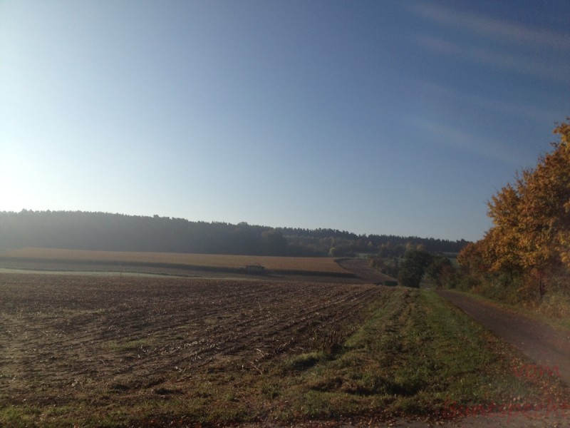 Bildla Nummera 026.jpg