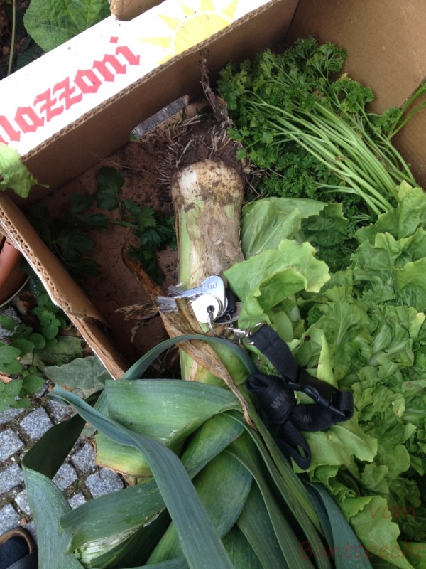 Bildla Nummera 027.jpg