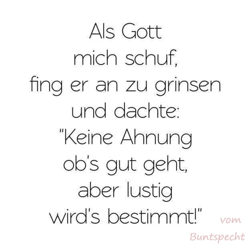 Bildla Nummera 033.jpg