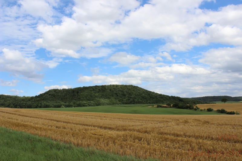 Bildla Nummera 006.jpg