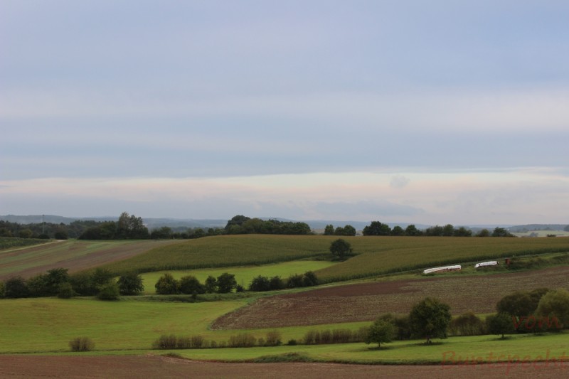 Bildla Nummera 009.jpg