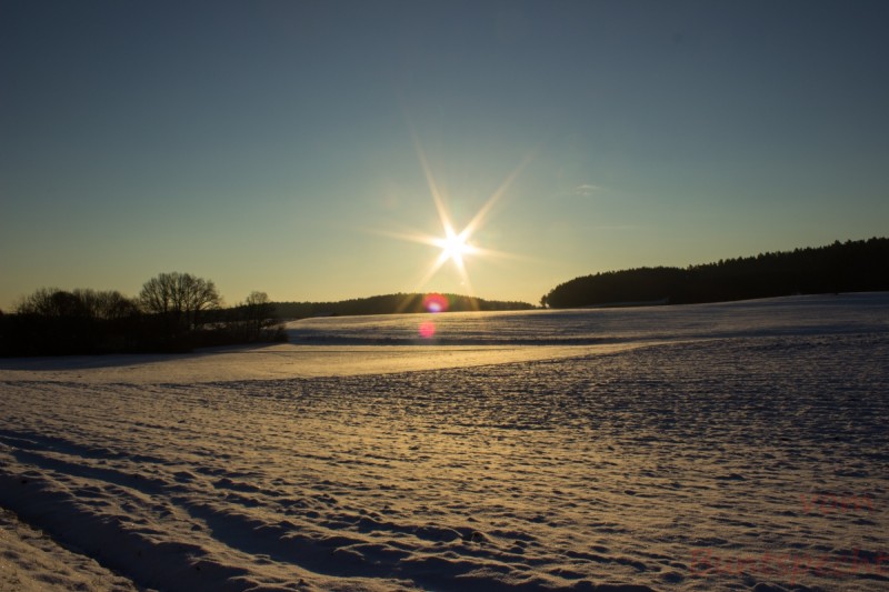 Bildla Nummera 012.jpg