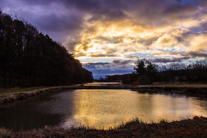 Bildla Nummera 013.jpg