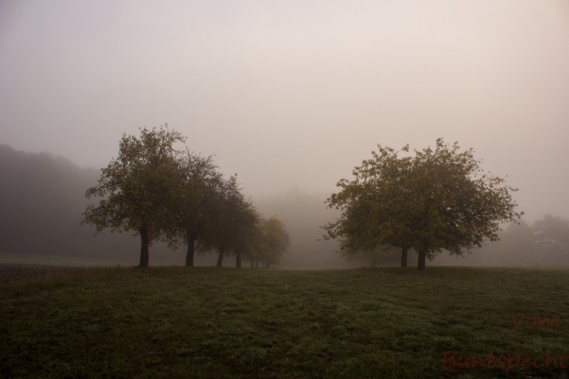 Bildla Nummera 015.jpg