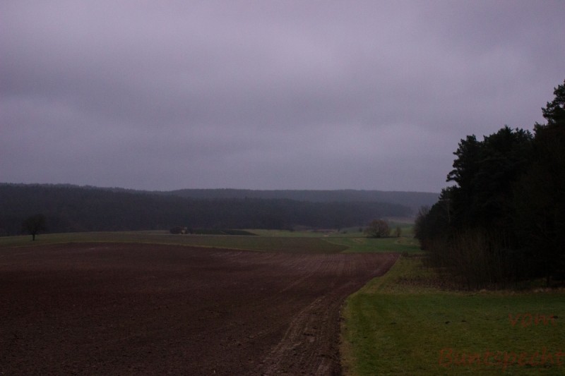 Bildla Nummera 002.jpg