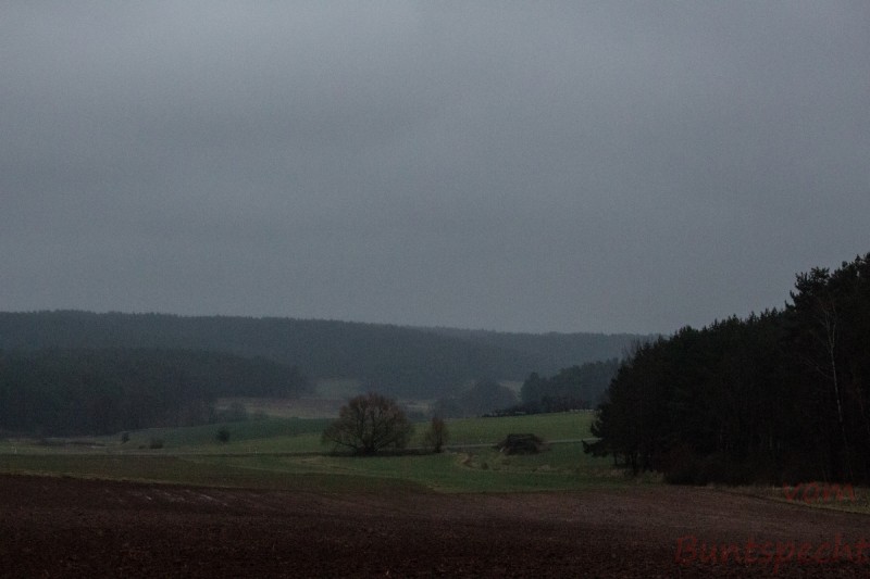 Bildla Nummera 003.jpg