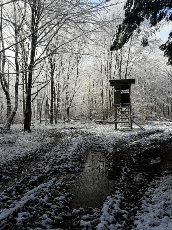 Der erste Schnee 17-18 (1).jpg