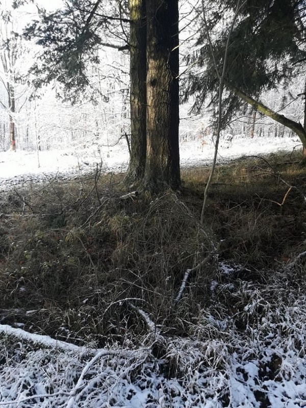 Der erste Schnee 17-18 (3).jpg