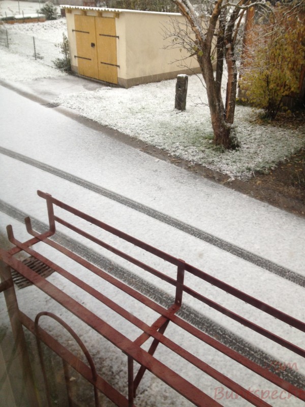 Bildla Nummera 008.jpg