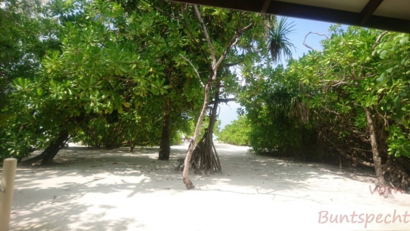 Bildla Nummera 009.jpg