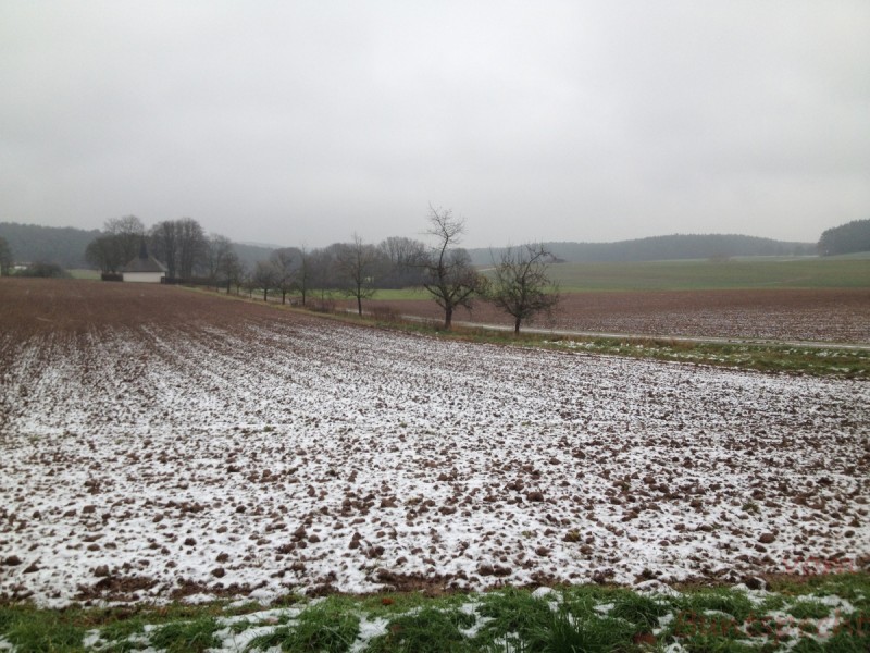 Bildla Nummera 014.jpg