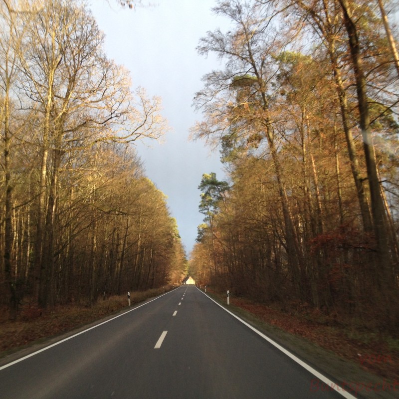 Bildla Nummera 028.jpg