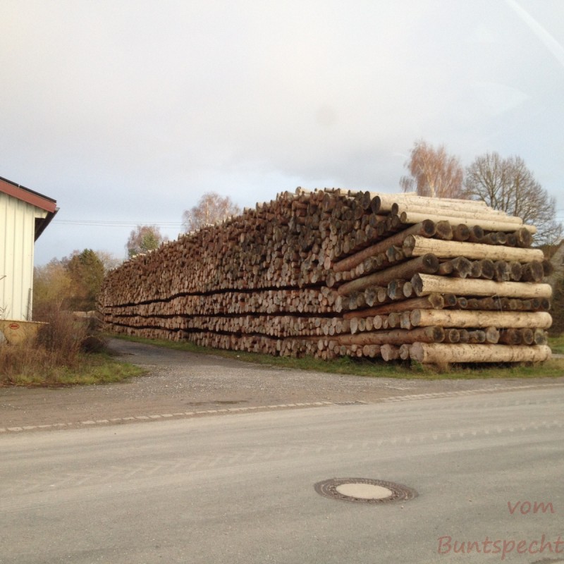 Bildla Nummera 030.jpg