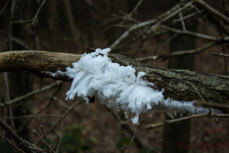 Bildla Nummera 002.jpg