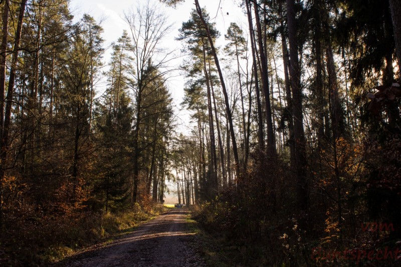 Bildla Nummera 004.jpg