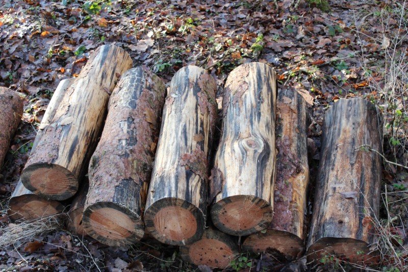 Bildla Nummera 006.jpg