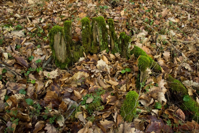 Bildla Nummera 009.jpg