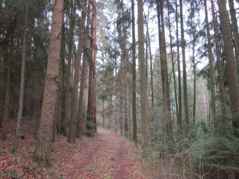 Bildla Nummera 001.jpg