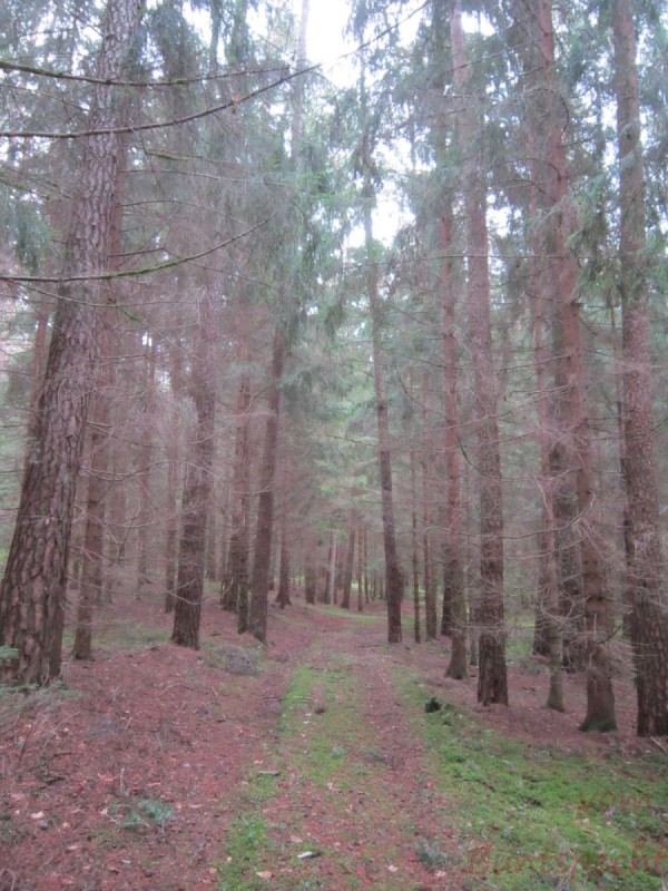 Bildla Nummera 002.jpg