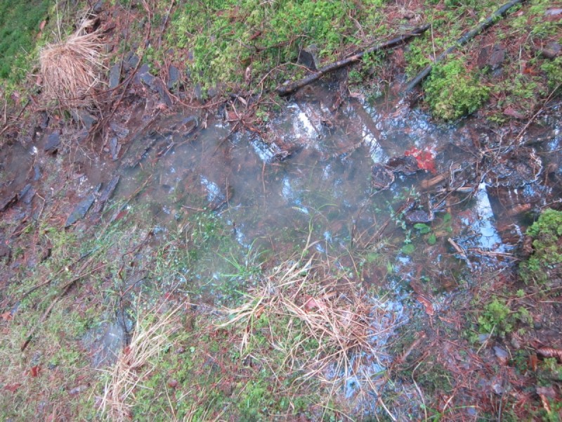 Bildla Nummera 008.jpg