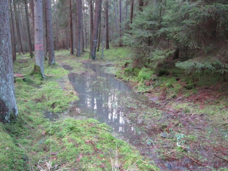 Bildla Nummera 009.jpg