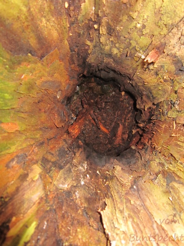 Bildla Nummera 013.jpg