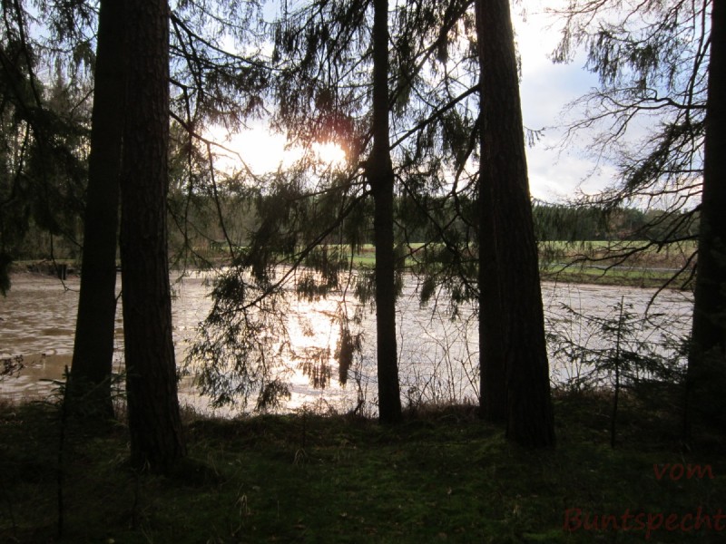 Bildla Nummera 014.jpg