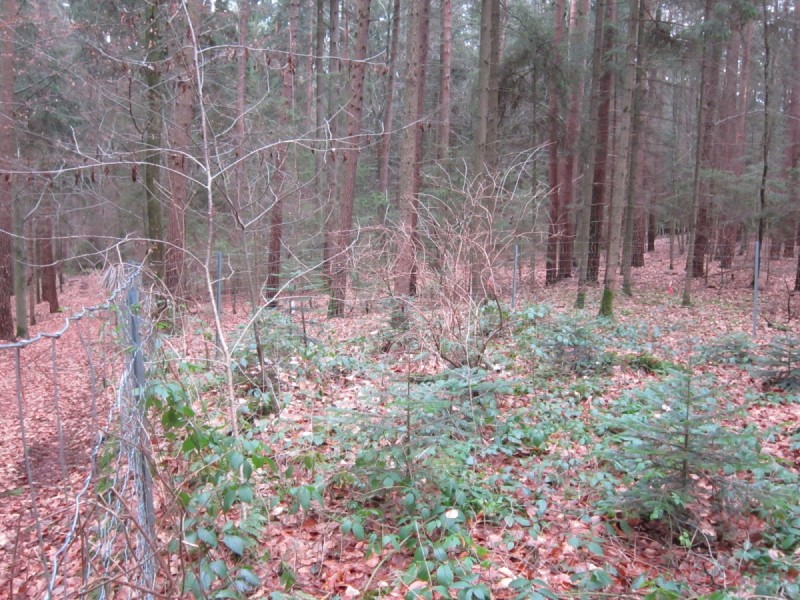 Bildla Nummera 001.jpg