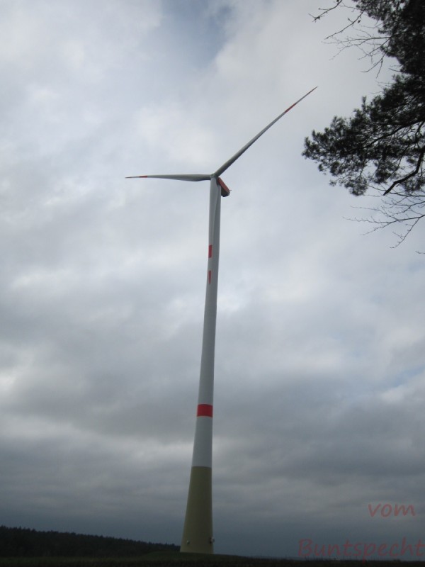 Bildla Nummera 005.jpg