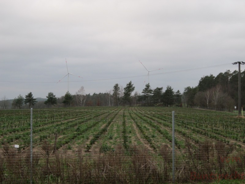 Bildla Nummera 007.jpg