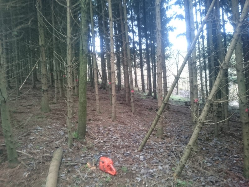 DSC_6175 - Kopie.JPG