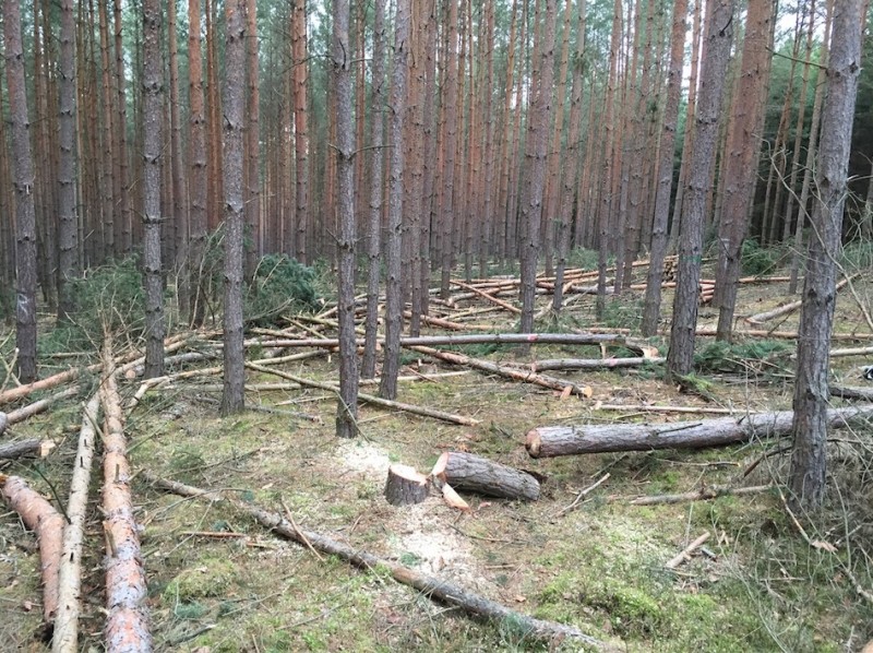 Bildschirmfoto 2018-01-20 um 15.12.23.JPG