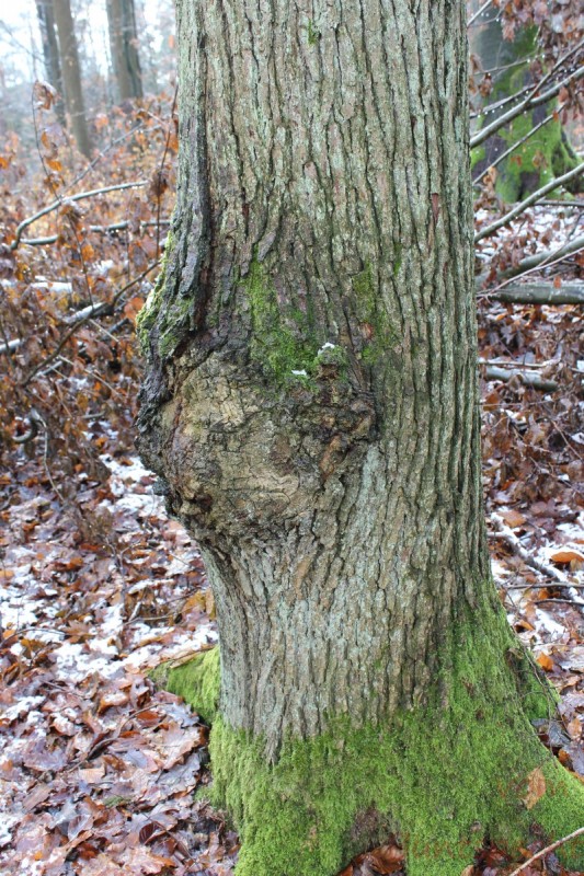 Bildla Nummera 005.jpg