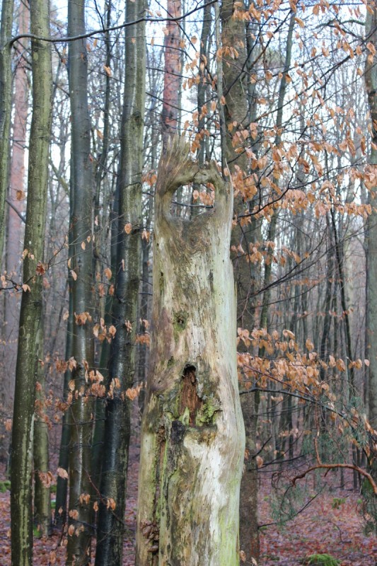 Bildla Nummera 010.jpg