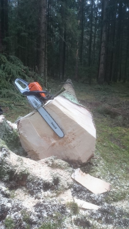 DSC_5853 - Kopie.JPG