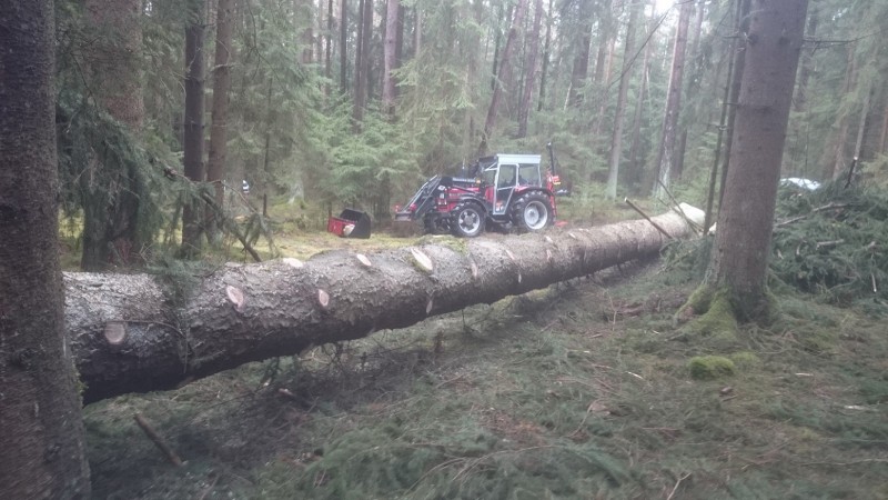 DSC_5851 - Kopie.JPG