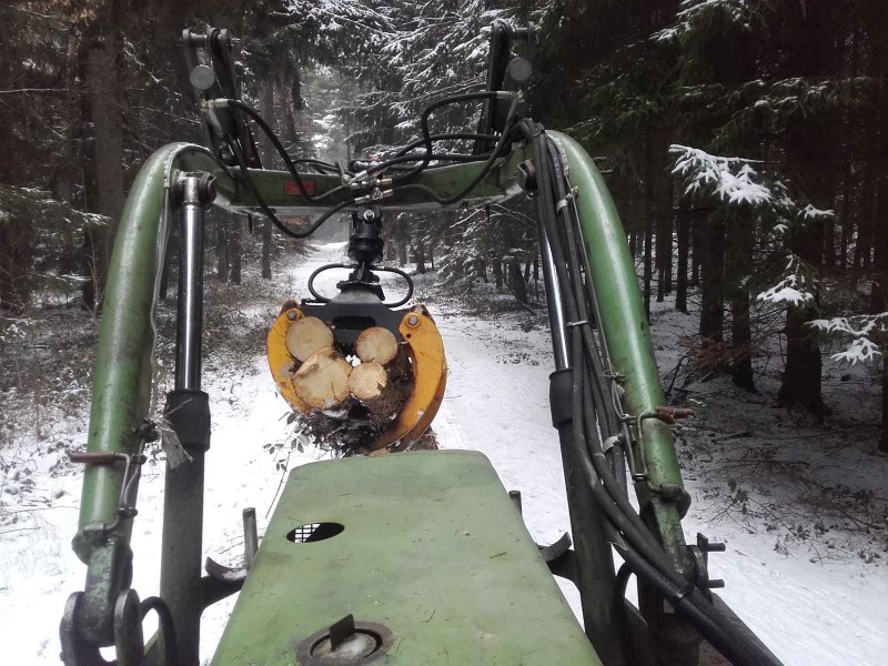 2018-02-10 Wald 1.jpg