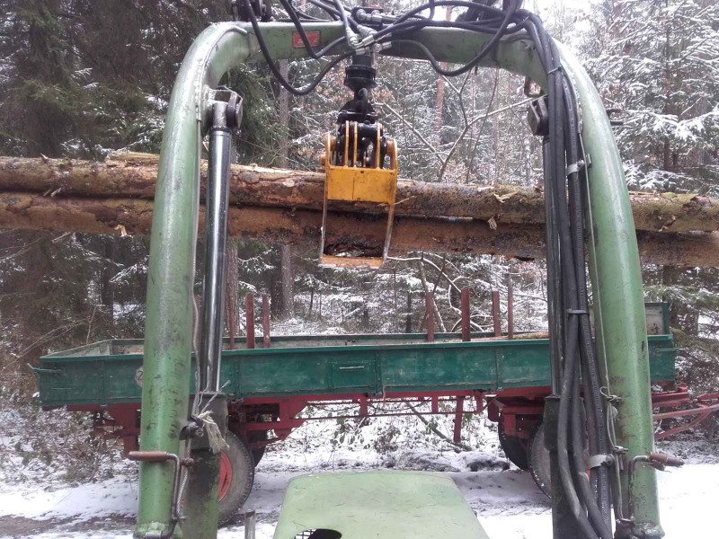 2018-02-10 Wald 2.jpg